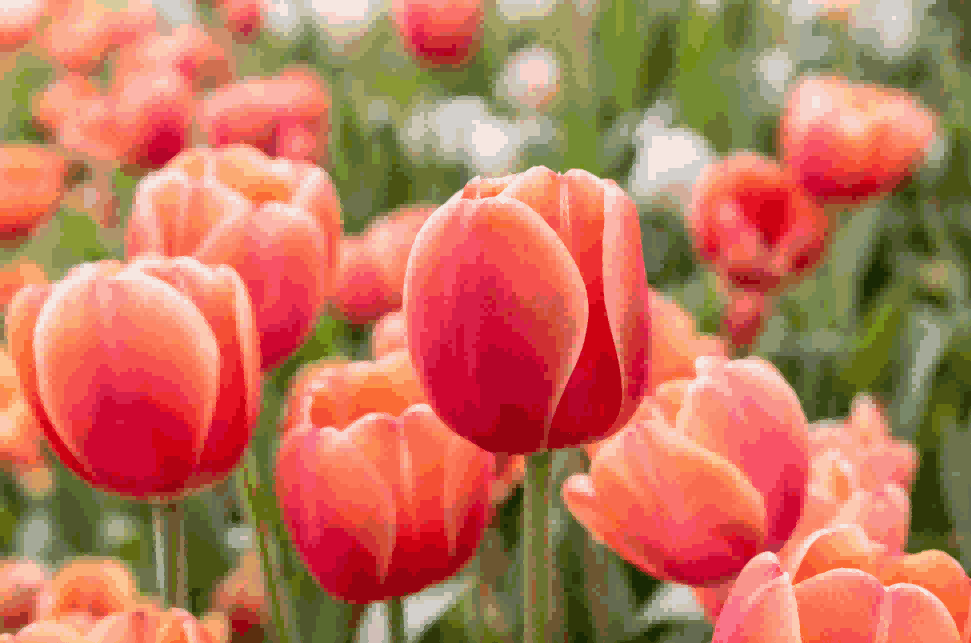 海关数据,NO钱包官网海关数据,荷兰海关数据 海关数据,NO钱包官网海关数据,荷兰海关数据